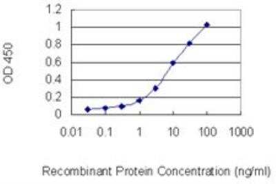 ELISA: CDKL2 Antibody (1F6) [H00008999-M01]