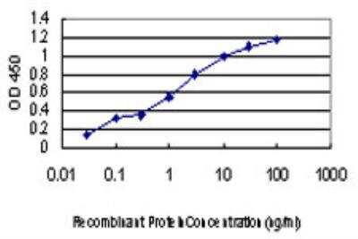 ELISA: CDKL4 Antibody (6G8) [H00344387-M03]