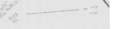 Western Blot: CDP/CUTL1 Antibody [H00001523-B01P]