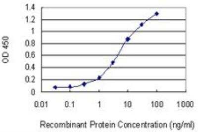 ELISA: CDS1 Antibody (2D10) [H00001040-M01]