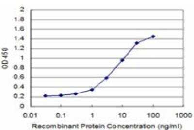 ELISA: CDS2 Antibody (2B9) [H00008760-M01]