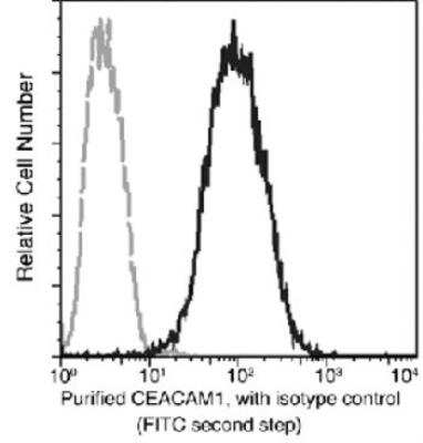Flow Cytometry: CEACAM1/CD66a Antibody (103) [NBP2-89666]