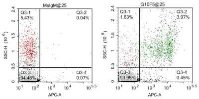 Flow Cytometry: CEACAM8/CD66b Antibody (G10F5) [NB100-77808]