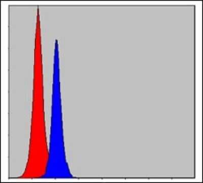 Flow Cytometry: CEBP Beta Antibody (3H9) - BSA Free [NBP2-37567]