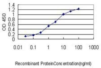 ELISA: CENPM Antibody (4C12-2C8) [H00079019-M01]