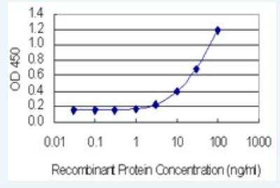 ELISA: CEP55 Antibody (6A10) [H00055165-M05-100ug]