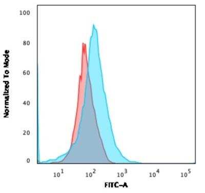 Flow Cytometry: CFTR Antibody (CFTR/1643) [NBP2-53375]
