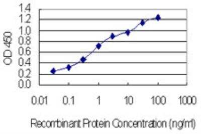 ELISA: CHCHD4 Antibody (6C9) [H00131474-M01-100ug]