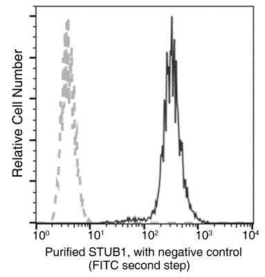 Flow Cytometry: CHIP/STUB1 Antibody (034) [NBP2-90116]