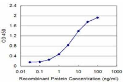 ELISA: CIRBP Antibody (1C9) [H00001153-M03]