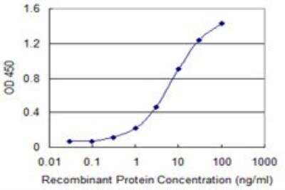 ELISA: CKAP2 Antibody (3H1) [H00026586-M04]