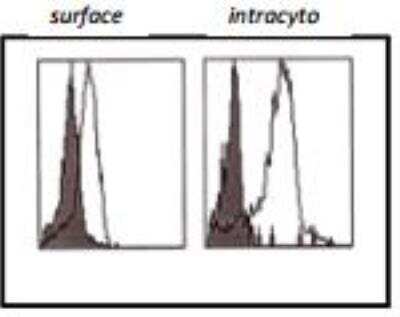 Flow Cytometry: CLEC10A/CD301 Antibody (125A10.03) [DDX0010P-100]
