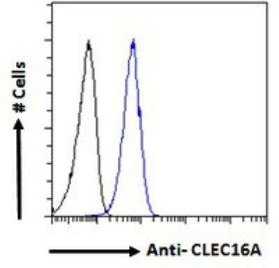 Flow Cytometry: CLEC16A Antibody [NBP2-78807]