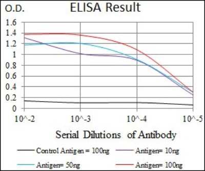ELISA: CLGN Antibody (9C8G10) - BSA Free [NBP2-37395]