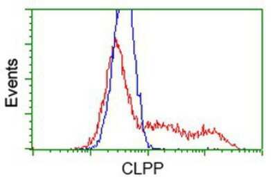 Flow Cytometry: CLPP Antibody (OTI1F6) [NBP2-03323]
