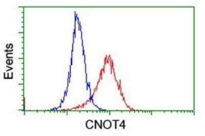 Flow Cytometry: CNOT4 Antibody (OTI3D11) [NBP2-46324]