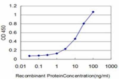ELISA: COASY Antibody (2A12) [H00080347-M05]