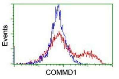 Flow Cytometry: COMMD1 Antibody (OTI1F2) - Azide and BSA Free [NBP2-72419]