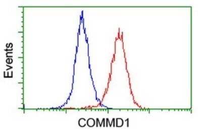 Flow Cytometry: COMMD1 Antibody (OTI2E2) - Azide and BSA Free [NBP2-72418]