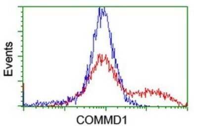 Flow Cytometry: COMMD1 Antibody (OTI2E2) - Azide and BSA Free [NBP2-72418]