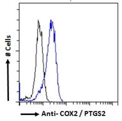 Flow Cytometry: COX-2 Antibody [NB100-868]