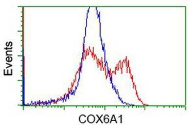 Flow Cytometry: COX6A1 Antibody (OTI4G2) [NBP2-02781]