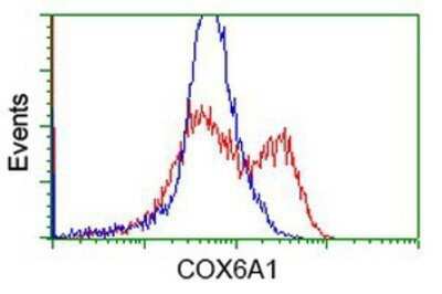 Flow Cytometry: COX6A1 Antibody (OTI4G2) - Azide and BSA Free [NBP2-70427]
