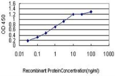 ELISA: CPSF73 Antibody (6E6) [H00051692-M01]