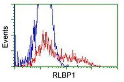 Flow Cytometry: CRALBP Antibody (OTI1G6) - Azide and BSA Free [NBP2-71275]