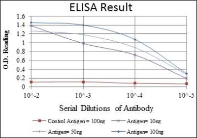 ELISA: CREB Antibody (5G3) - BSA Free [NBP2-37610]
