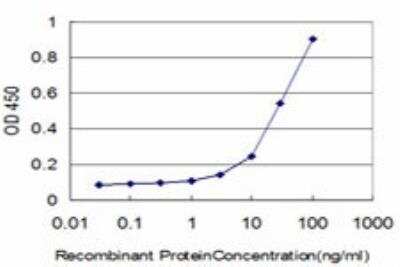 ELISA: CREB5 Antibody (1E2) [H00009586-M01]