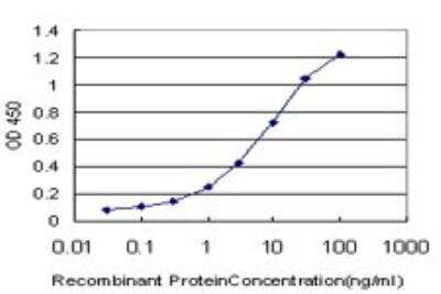ELISA: CREB5 Antibody (8A5) [H00009586-M02]