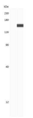 Simple Western: CRISPR-Cas9 Antibody (7A9-3A3)N-TerminusAzide and BSA Free [NBP2-80679]