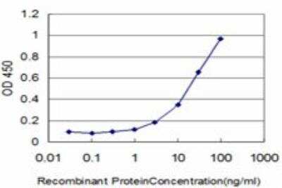 ELISA: CRX/CORD2 Antibody (F6-C2) [H00001406-M01]