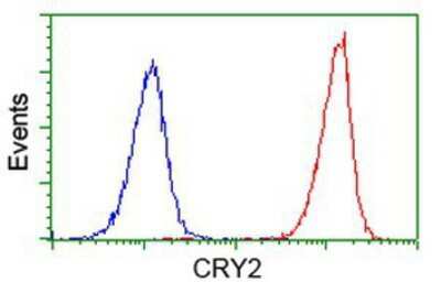 Flow Cytometry: CRY2 Antibody (OTI1H5) [NBP2-00749]