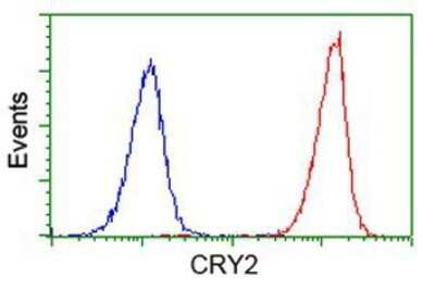 Flow Cytometry: CRY2 Antibody (OTI1H5) - Azide and BSA Free [NBP2-70449]