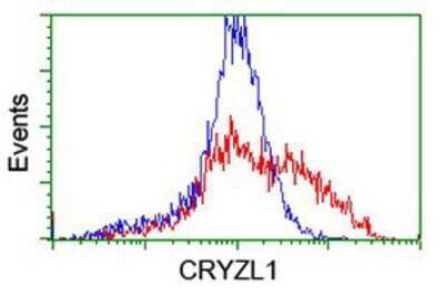 Flow Cytometry: CRYZL1 Antibody (OTI2F9) [NBP2-02012]