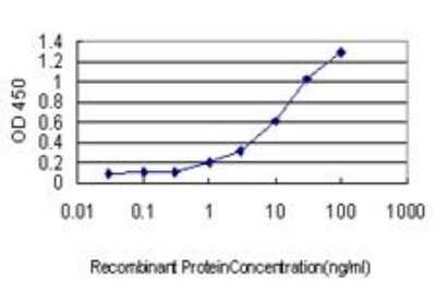 ELISA: CSE1L/CAS/Exportin-2 Antibody (2F4) [H00001434-M04]