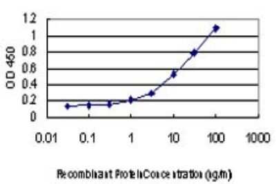 ELISA: CSK Antibody (3A3) [H00001445-M01]