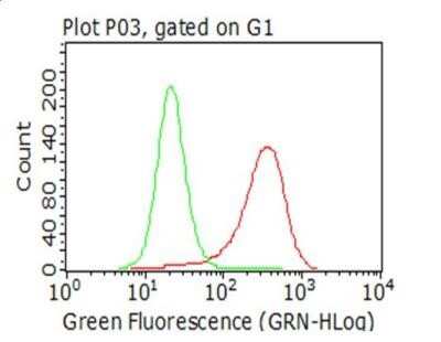 Flow Cytometry: CTAG1B Antibody (OTI2B6) - Azide and BSA Free [NBP2-70485]