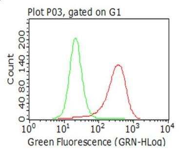 Flow Cytometry: CTAG1B Antibody (OTI2B6) [NBP1-47714]