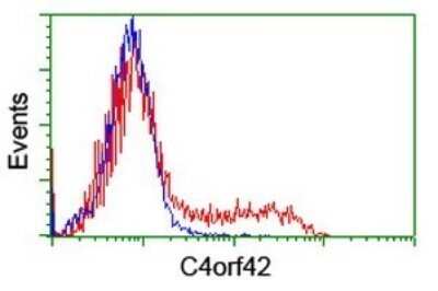 Flow Cytometry: CTBP1-DT Antibody (OTI4F2) - Azide and BSA Free [NBP2-72334]