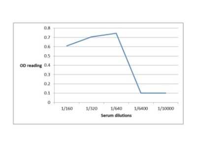 ELISA: CTLA-4 Antibody (L4P2F5*F10) - BSA Free [NBP2-50286]
