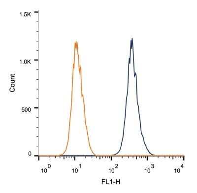 Flow Cytometry: CUGBP1/CELF1 Antibody (3B1) - Azide and BSA Free [NBP2-80684]