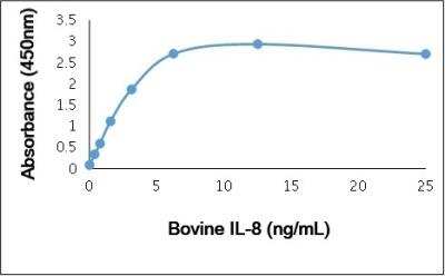 ELISA: CXCL8/IL-8 Antibody [NBP3-11326]