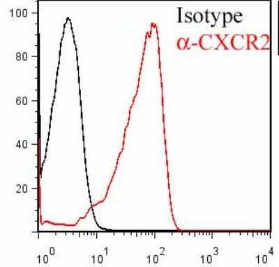 Flow Cytometry: CXCR2/IL-8RB Antibody (48311.211) [NB100-1631]