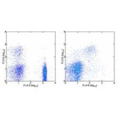 Flow Cytometry: CXCR2/IL-8RB Antibody (5E8-C7-F10) - BSA Free [NBP1-43338]