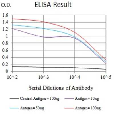 ELISA: CXCR3 Antibody (5C10E6) - BSA Free [NBP2-61681]