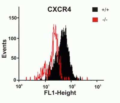 Flow Cytometry: CXCR4 Antibody - BSA Free [NBP1-77067]