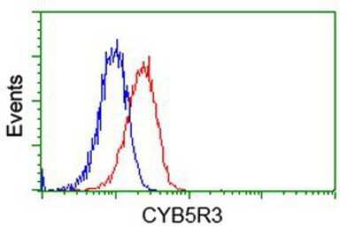 Flow Cytometry: CYB5R3 Antibody (OTI2A10) [NBP2-02705]